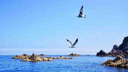 浦富海岸第 18 张图片