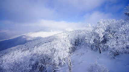 亚雪驿站十里画廊第 16 张图片