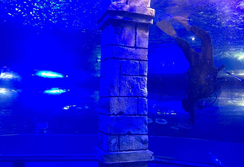 镜湖湿地海洋世界第 20 张图片