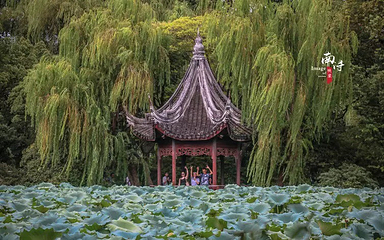 小莲庄第 32 张图片