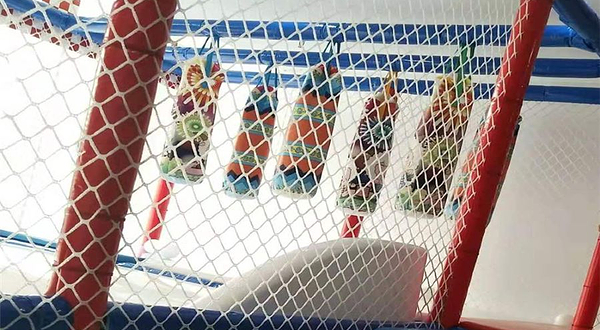 艾德湾亲子探索乐园