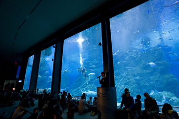 海洋世界海之中道第 24 张图片
