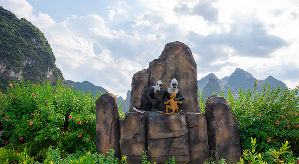 白头叶猴生态旅游区