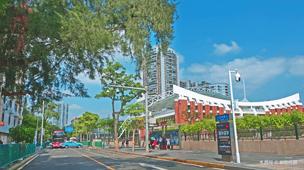 大学路第 1 张图片