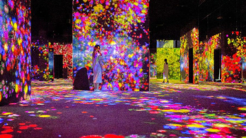 东京森大厦数字艺术馆teamLab Borderless Tokyo