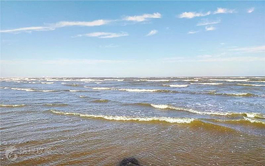 万宝赶海园第 4 张图片