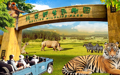 北京野生动物园第 17 张图片