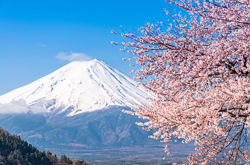 富士山第 15 张图片