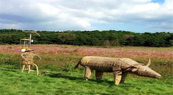 王士兰花千谷景区