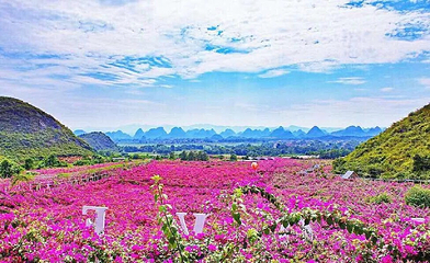 桂林花海景区第 1 张图片