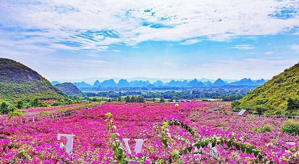 桂林花海
