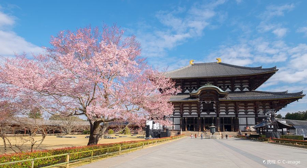 东大寺