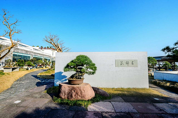 绿野欢乐谷第 58 张图片