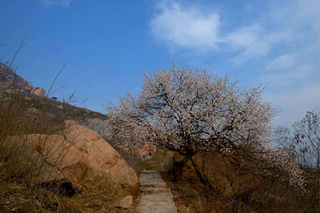 黄金寨原生态旅游区第 72 张图片