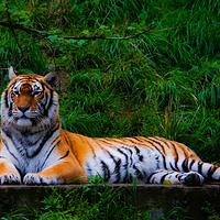 宁波野生动物园