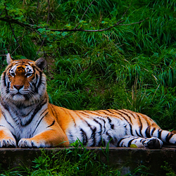 宁波野生动物园