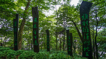 南华山神凤文化景区第 15 张图片