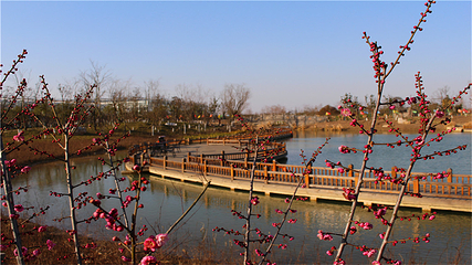 嬉乐湾休闲旅游区第 35 张图片