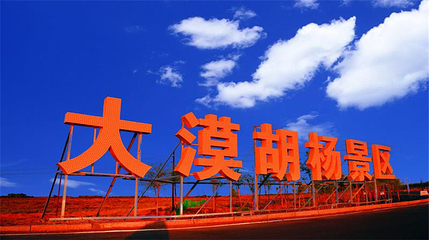 额济纳胡杨林旅游区第 67 张图片
