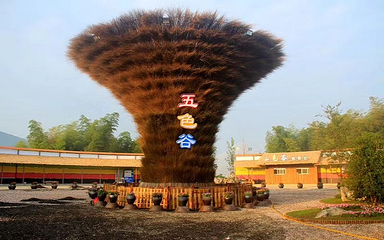 五色谷萌宠乐园第 7 张图片