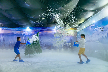 飘雪世界第 1 张图片