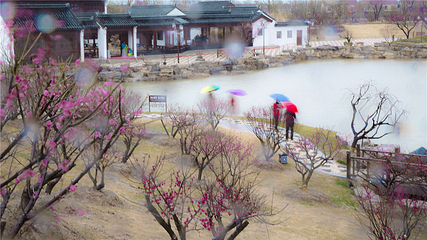 梅花湾第 37 张图片