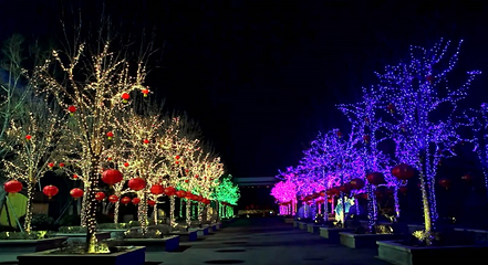 龙园旅游度假区第 31 张图片