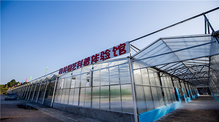 炫彩万木源第 34 张图片