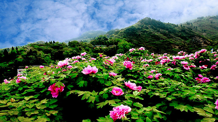 恺之峰旅游区第 23 张图片