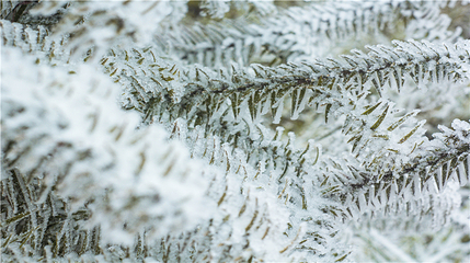 玉舍雪山滑雪场第 49 张图片