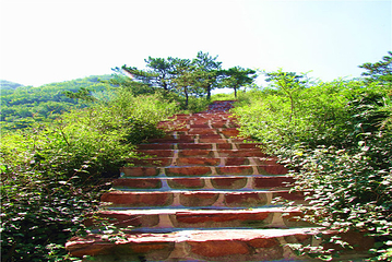 挂云山景区第 5 张图片