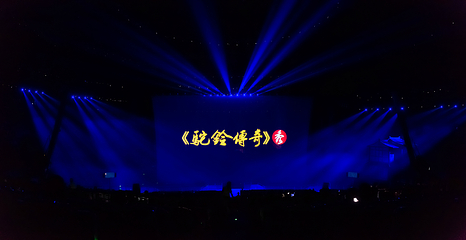 《驼铃传奇》秀第 87 张图片