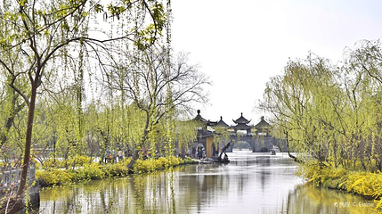 蜀冈瘦西湖风景名胜区-长堤春柳第 1 张图片