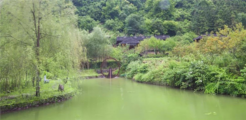 醉山野黄崖大峡谷第 14 张图片