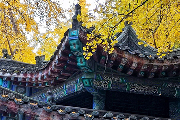 文殊院第 38 张图片