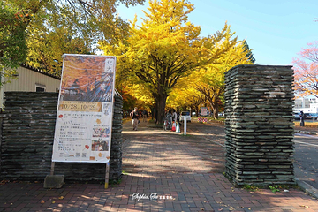 北海道大学第 13 张图片