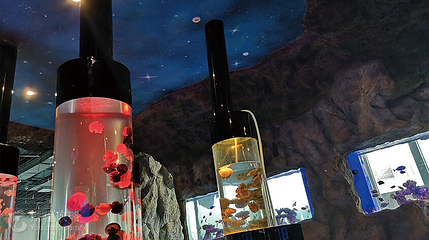 JOLI ZOO(龙湖虹桥天街购物中心A馆店)第 2 张图片