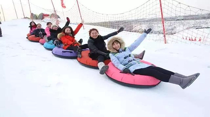 太阳岛冰雪大世界第 19 张图片