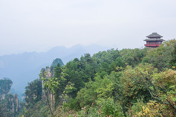 天子山风景区第 30 张图片