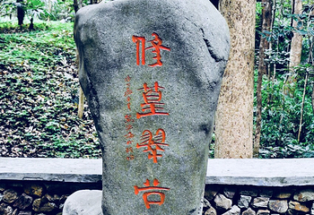云栖竹径第 28 张图片