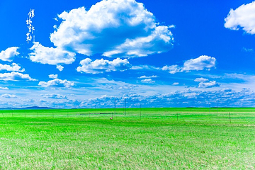 锡林郭勒盟草原第 106 张图片