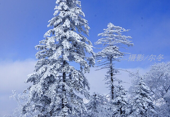 亚雪驿站十里画廊第 20 张图片