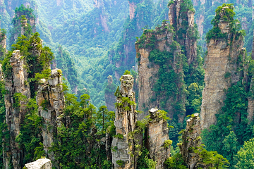 天子山风景区第 37 张图片