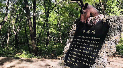 香炉山国家森林公园第 82 张图片