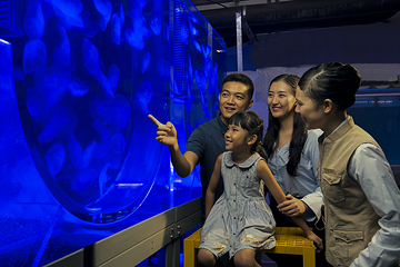 三亚亚特兰蒂斯失落的空间水族馆第 64 张图片