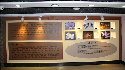 中华枸杞养生苑第 25 张图片