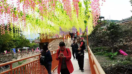 六君岩风景区第 6 张图片