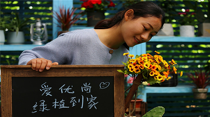上房园艺·梦花源第 27 张图片