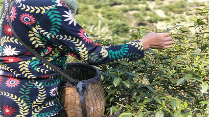 金刚台里罗城景区第 8 张图片