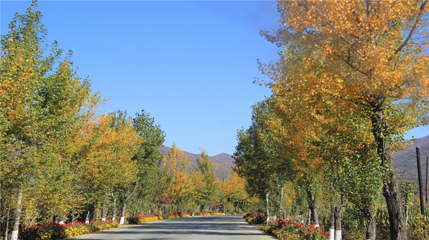 莲花山国家森林公园第 8 张图片